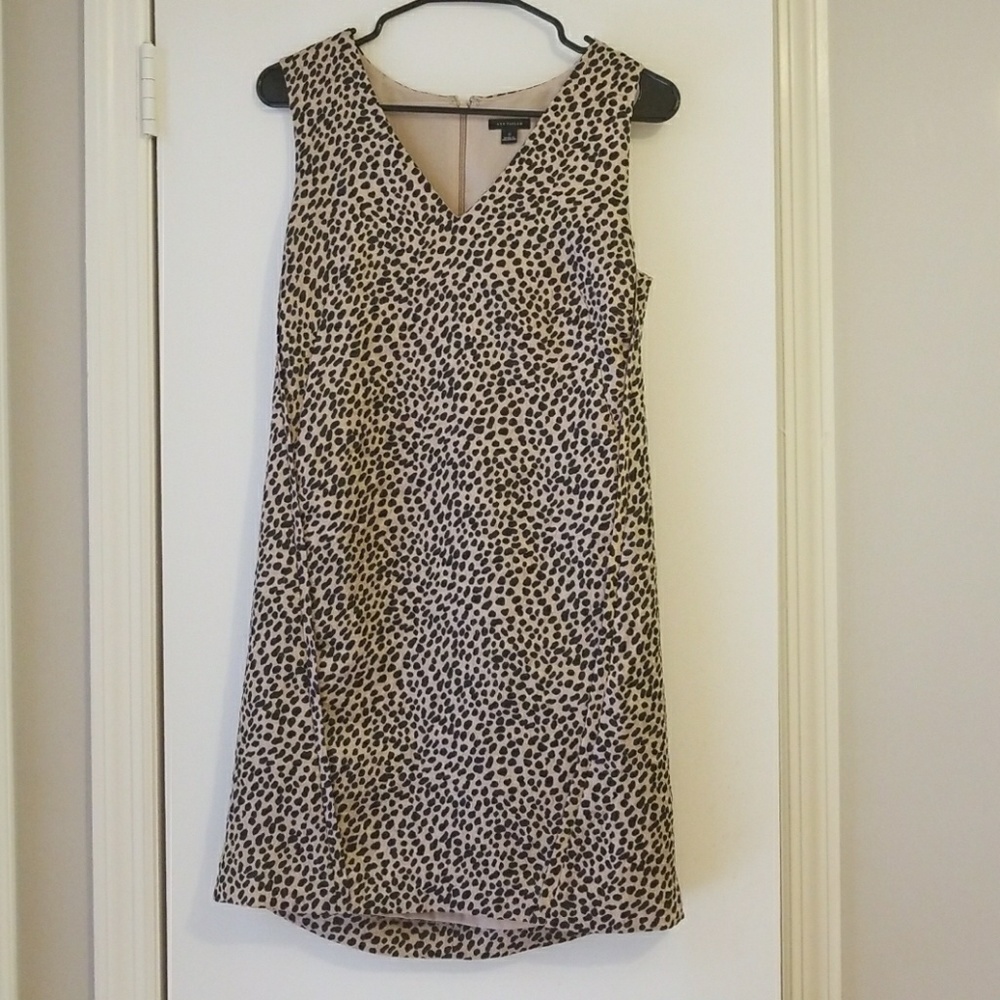 Ann Taylor Shift Dress - Leopard Cheetah Print